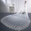 Simple Blanche Cathedral Train Mariage Tulle Dos Nu En Dentelle Voile De Mariée 2018