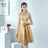 Chic / Beautiful Gold Evening Dresses  2017 A-Line / Princess Lace Appliques Beading Evening Party Formal Dresses