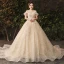 Sparkly Bling Bling Champagne Wedding Dresses 2019 A-Line / Princess Lace Tulle Floral Plus Size Embroidered Glitter Sequins Strapless Chapel Train Wedding