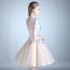 Chic / Beautiful Sky Blue Cocktail Dresses 2018 A-Line / Princess Tulle U-Neck Appliques Backless Beading Homecoming Cocktail Party Graduation Dresses