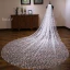 Glitter Bling Bling Witte Tule Glans Kerk Chapel Train Bruidssluier 2019
