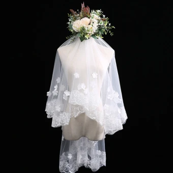 Luxury Gorgeous Ivory Short Wedding Veils Lace Chiffon Embroidered Wedding Accessories 2019