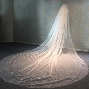 Sparkly Bling Bling White Cathedral Train Wedding Beading Sequins Tulle Wedding Veils 2018