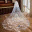 Frozen Costume White Royal Train Wedding Tulle Lace Appliques 4 m Wedding Veils 2018
