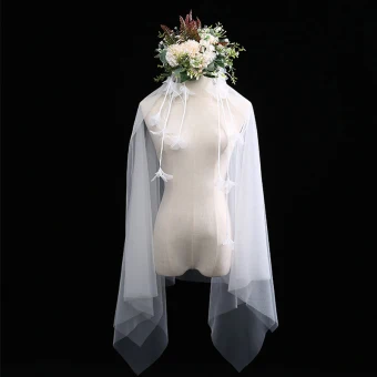 Modern Fashion White Short Wedding Veils Feather Tassel Chiffon Wedding Accessories 2019