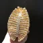 Unusual Sparkly Gold Pierced Rhinestone Evening Party Clutch Bags 2022