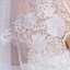 Elegant 2017 2.5 m Hvit Appliques Blonder Tyll Hage / utendørs Brudeslør