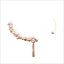 Fashion Gold Pearl Evening Party Necklaces Accessories 2024