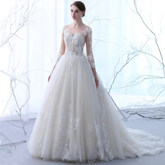 Elegante Champagne Doorzichtige Trouwjurken 2018 A Lijn Ronde Hals Lange Mouwen Appliques Doorboord Kant Ruche Chapel Train