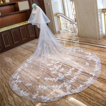 Chic Beautiful White Royal Train Wedding Tulle Appliques Flower 4 M Wedding Veils 2018