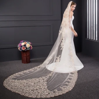 Luxury Gorgeous Champagne Tulle Lace Appliques 3 M Outdoor Garden Wedding Veils 2017
