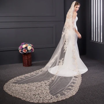 Luxury Gorgeous Champagne Tulle Lace Appliques 3 M Outdoor Garden Wedding Veils 2017