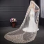 Luxe Champagne Tulle Dentelle Appliques 3 m Jardin / Extérieur Voile De Mariée 2017
