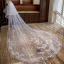 Chic / Beautiful White Royal Train Wedding Tulle Appliques Flower 4 m Wedding Veils 2018
