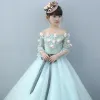 Chic / Beautiful Church Wedding Party Dresses 2017 Flower Girl Dresses Sky Blue Ball Gown Floor-Length / Long Off-The-Shoulder Long Sleeve Flower Appliques Beading Pearl