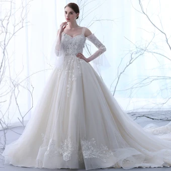 Mooie Prachtige Champagne Doorzichtige Trouwjurken 2018 Baljurk Strapless Lange Mouwen Ruglooze Appliques Kant Ruche Cathedral Train
