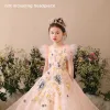 Chic / Beautiful Church Wedding Party Dresses 2017 Flower Girl Dresses Pearl Pink A-Line / Princess Floor-Length / Long Scoop Neck Short Sleeve Bow Lace Sequins Appliques