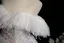 Chic / Belle Blanche Perlage Paillettes Appliques Robe De Bal 2025 Robe Boule De l'épaule Gland Manches Courtes Dos Nu Longue Robe De Ceremonie