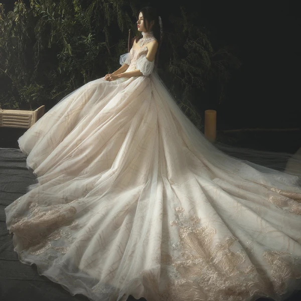 Luxury / Gorgeous Champagne Wedding Dresses 2019 A-Line / Princess Lace Beading Crystal Strapless Backless Sleeveless Cathedral Train