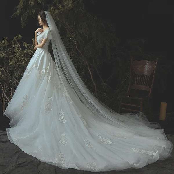 Modern / Fashion Ivory Wedding Dresses 2019 A-Line / Princess Lace Appliques Beading Pearl Sequins Scoop Neck Backless Short Sleeve Royal Train