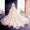 Elegant Champagne Puffy Wedding Dresses 2018 Ball Gown Lace Flower Cascading Ruffles Scoop Neck Long Sleeve Royal Train Wedding
