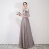 Elegant Grey Evening Dresses  2019 A-Line / Princess Spaghetti Straps Appliques Lace Flower Short Sleeve Backless Floor-Length / Long Formal Dresses