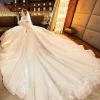 Charming Champagne Wedding Dresses 2019 Ball Gown High Neck Beading Crystal Lace Flower Long Sleeve Backless Royal Train