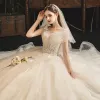Classy Champagne Wedding Dresses 2019 Ball Gown V-Neck Sequins Lace Flower Sleeveless Backless Court Train