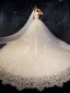 High-end Champagne Wedding Dresses 2019 A-Line / Princess Spaghetti Straps Beading Crystal Lace Flower Sleeveless Backless Royal Train