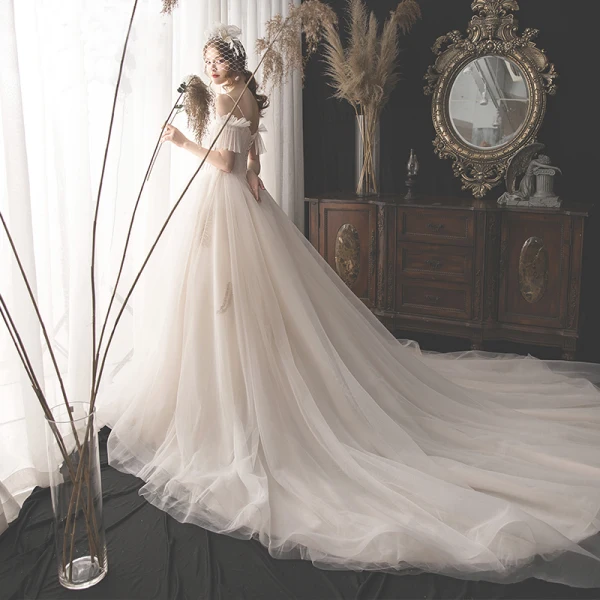 Charmant Champagner Brautkleider / Hochzeitskleider 2019 A Linie Spaghettiträger Perlenstickerei Pailletten Spitze Blumen Kurze Ärmel Rückenfreies Kathedrale Schleppe