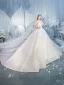 High-end Champagne Wedding Dresses 2019 Ball Gown High Neck Beading Sequins Crystal Lace Flower Sleeveless Backless Royal Train