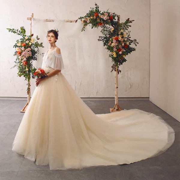 Charmant Champagner Brautkleider / Hochzeitskleider 2020 A Linie V-Ausschnitt Perlenstickerei Spitze Blumen Applikationen Rüschen Glockenhülsen Rückenfreies Kathedrale Schleppe