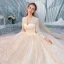 Charming Champagne Wedding Dresses 2020 Ball Gown V-Neck Sequins Lace Flower Long Sleeve Backless Cathedral Train