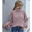 Comfortable Brown Fall Casual Winter Knitting Sweaters 2021 High Neck Long Sleeve Loose Women Tops
