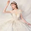 Luxury / Gorgeous Champagne Glitter Wedding Dresses 2020 A-Line / Princess Scoop Neck Beading Tassel Rhinestone Lace Flower Short Sleeve Backless Royal Train