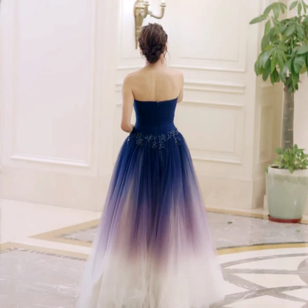 Chic / Belle Dégradé De Couleur Robe De Soirée 2018 Princesse En Dentelle Fleur Bustier Dos Nu Sans Manches Longue Robe De Ceremonie