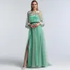 Flower Fairy Sage Green Prom Dresses 2022 A-Line / Princess Scoop Neck Lace Flower Long Sleeve Floor-Length / Long Formal Dresses