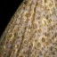 Flower Fairy Yellow Beading Sequins Lace Flower Floral Prom Dresses 2025 Ball Gown Spaghetti Straps Short Sleeve Backless Floor-Length / Long Formal Dresses