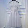 Modest / Simple Silver Graduation Dresses 2017 Lace Flower Zipper Up Beading Short Scoop Neck 3/4 Sleeve A-Line / Princess Formal Dresses