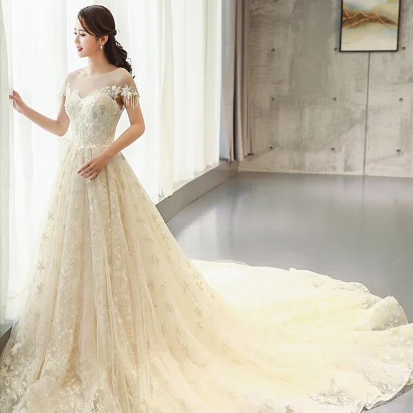 Luxury / Gorgeous Champagne Wedding Dresses 2018 A-Line / Princess Beading Tassel Appliques Lace Scoop Neck Backless Short Sleeve Cathedral Train Wedding