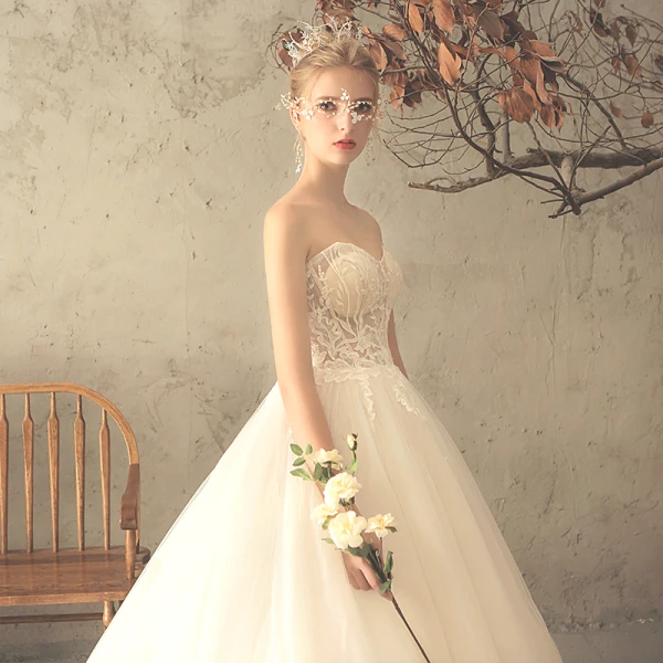 Mote Champagne Brudekjoler 2018 Prinsesse Appliques Blonder Kjæreste Ryggløse Uten Ermer Chapel Train Bryllup