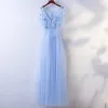 Hermoso Azul Cielo Vestidos de noche 2017 A-Line / Princess mariposa Con Encaje Flor Scoop Escote Sin Espalda Manga Corta La altura del tobillo Noche