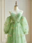 Fairytale Sage Green Embroidered Flower Spaghetti Straps Prom Dresses 2024 Floral Ruffle Tulle Floor-Length / Long Christmas Formal Dresses