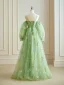 Fairytale Sage Green Embroidered Flower Spaghetti Straps Prom Dresses 2024 Floral Ruffle Tulle Floor-Length / Long Christmas Formal Dresses