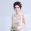 Chic / Beautiful Candy Pink Evening Dresses  2017 A-Line / Princess U-Neck Lace Butterfly Appliques Backless Evening Party Formal Dresses
