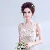 Chic / Belle Rose Bonbon Robe De Soirée 2017 Princesse U-Cou Dentelle Papillon Appliques Dos Nu Soirée Robe De Ceremonie