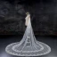 Voile De Mariée Blanche Tulle Dentelle Élégant 2017 En Dentelle Paillettes Appliques Brodé