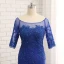 Chic / Belle Bleu Roi Trompette / Sirène Train De Balayage Robe De Mère De Mariée 2019 Dentelle Tulle U-Cou Appliques Dos Nu Perlage Brodé Paillettes Église Robe Pour Mariage