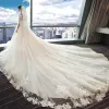 Romantic Ivory A-Line / Princess Wedding Dresses 2017 1/2 Sleeves Tulle Appliques Flower Backless Chapel Train