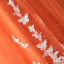 Fine Orange Pluss Størrelse Selskapskjoler 2018 Tyll V-Hals Appliques Sommerfugl Ryggløse Beading Aften Formelle Kjoler